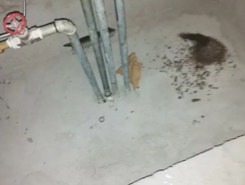 赤壁卫生间测漏水价格明细